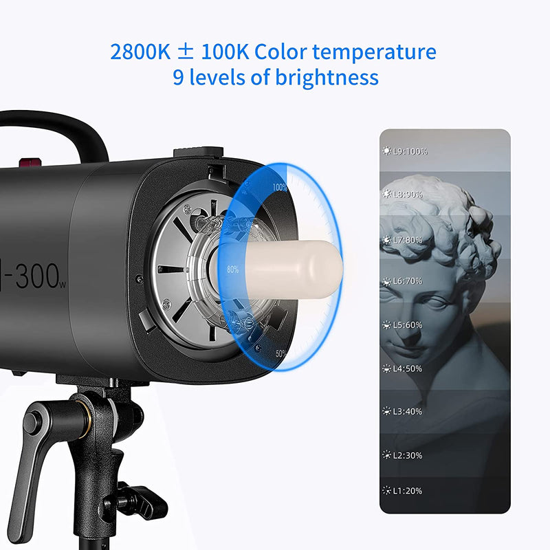 Load image into Gallery viewer, PBI Flash
